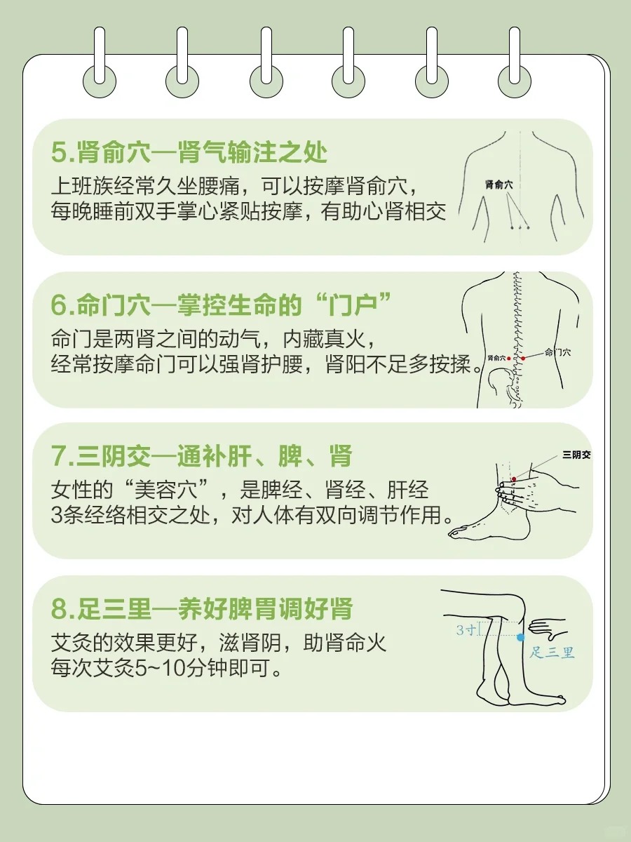 肾气足人不老｜保姆级养肾攻略来啦！。肾为先天之本，是主宰生命活力的核心系统。▪️黑色食物最养肾🖤（黑豆/黑芝麻/桑葚）。▪️早睡早起藏肾精🌙（23点前入睡最佳）。▪️踮脚+揉腰=天然肾宝💆